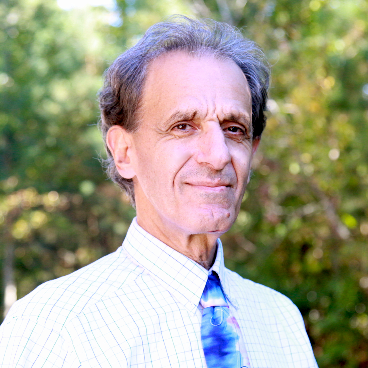 Mordechai Alada